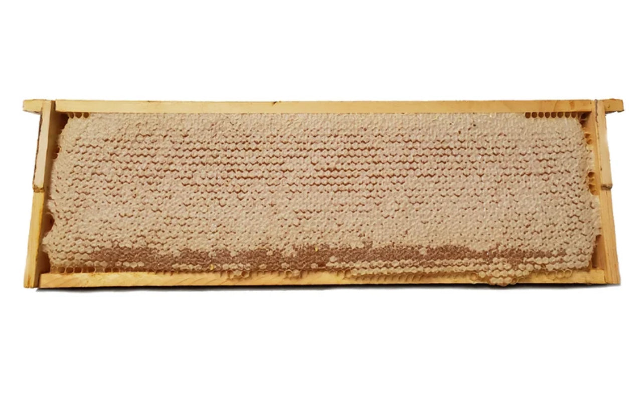 Raw Honey Comb