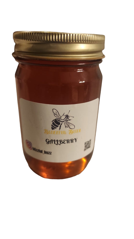 Florida Gallberry Honey